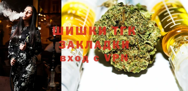 молекула духа Медногорск