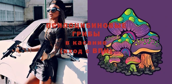 mdma Медвежьегорск