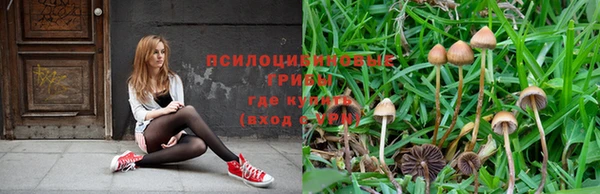 молекула духа Медногорск