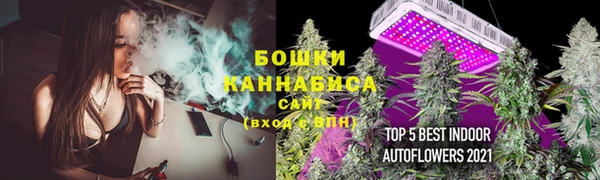 молекула духа Медногорск