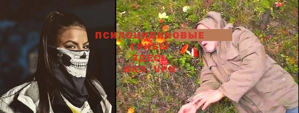 mdma Медвежьегорск