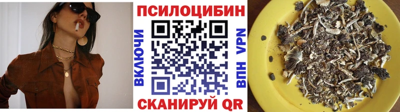 Галлюциногенные грибы Cubensis  Купить закладки  Кашира 