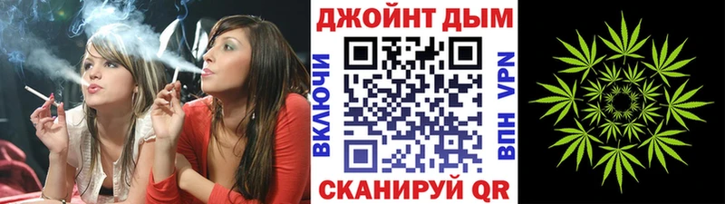 Купить где  Кашира  Бошки марихуана OG Kush 
